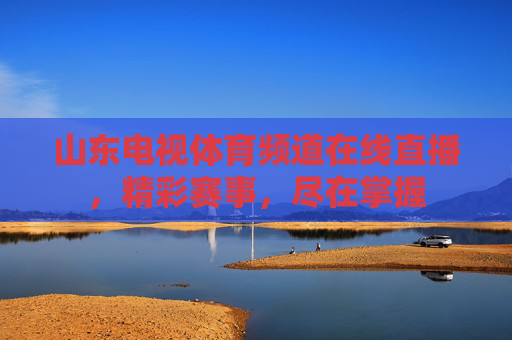 山东电视体育频道在线直播，精彩赛事，尽在掌握