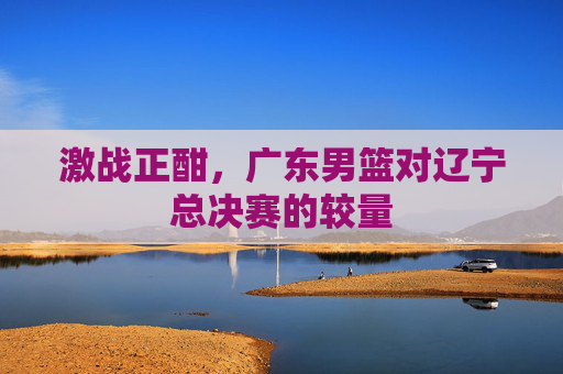 激战正酣,广东男篮对辽宁总决赛的较量 激战正酣,广东男篮对辽宁总决赛的较量