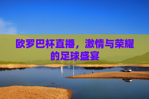 欧罗巴杯直播，激情与荣耀的足球盛宴