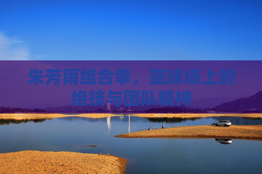 朱芳雨组合拳，篮球场上的绝技与团队精神