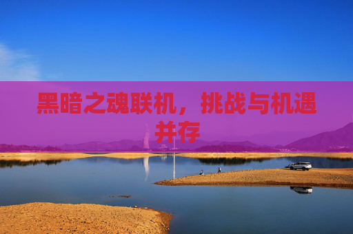 黑暗之魂联机，挑战与机遇并存