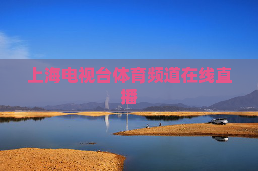 上海电视台体育频道在线直播 上海电视台体育频道在线直播