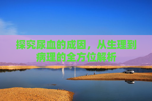 探究尿血的成因，从生理到病理的全方位解析