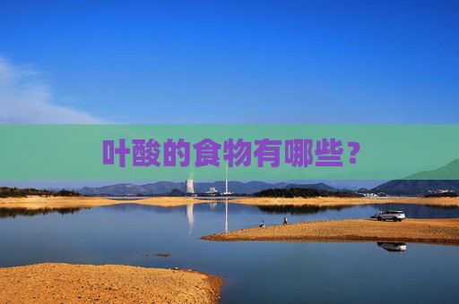 叶酸的食物有哪些？