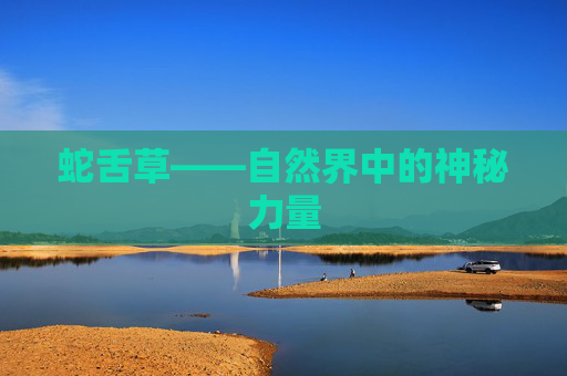 蛇舌草——自然界中的神秘力量