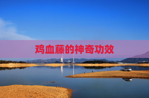 鸡血藤的神奇功效