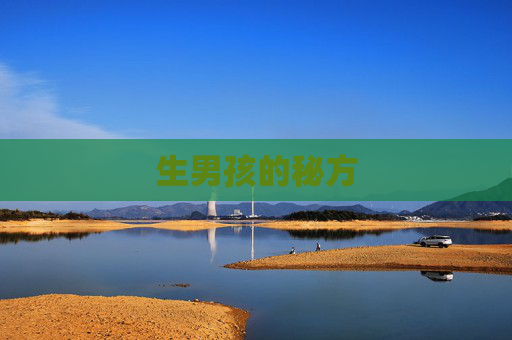 生男孩的秘方