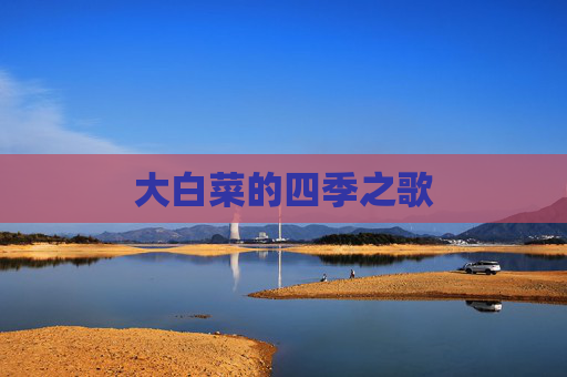 大白菜的四季之歌