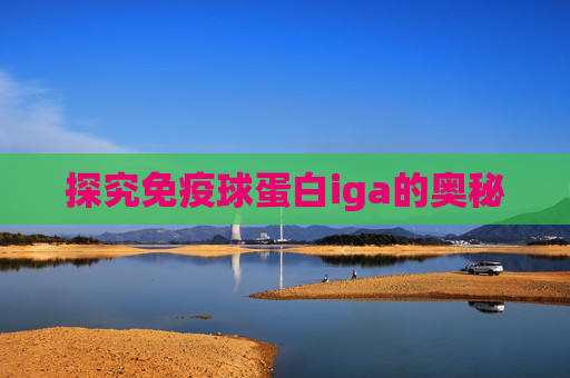 探究免疫球蛋白iga的奥秘