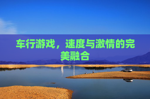 车行游戏，速度与激情的完美融合