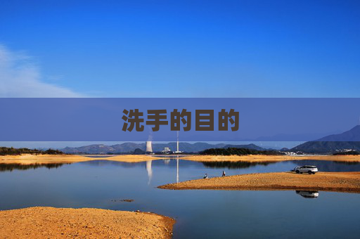 洗手的目的 洗手的目的