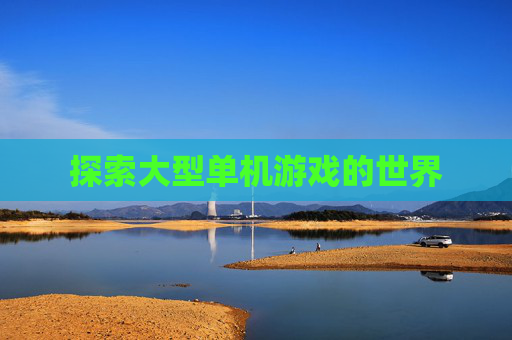 探索大型单机游戏的世界