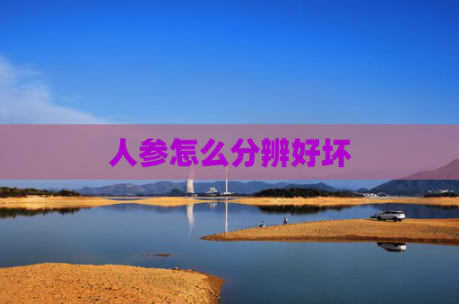 人参怎么分辨好坏 人参怎么分辨好坏