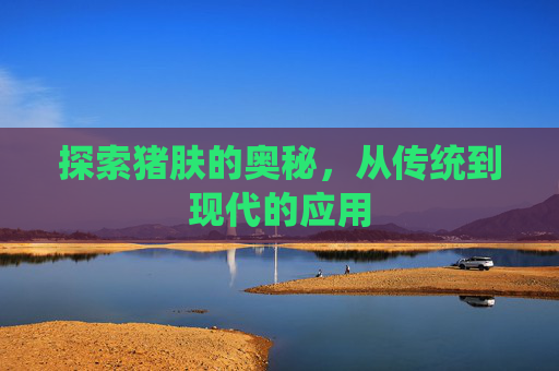 探索猪肤的奥秘，从传统到现代的应用