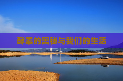 酵素的奥秘与我们的生活