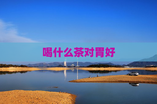 喝什么茶对胃好