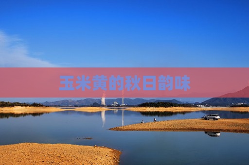 玉米黄的秋日韵味