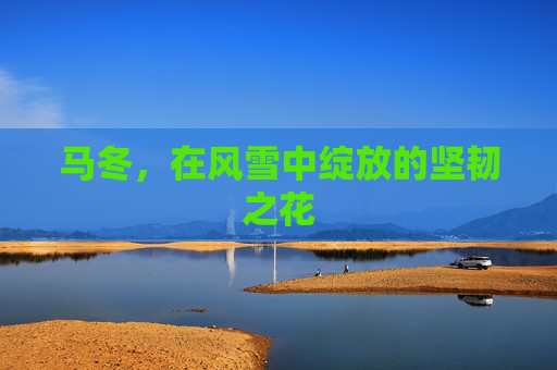 马冬，在风雪中绽放的坚韧之花