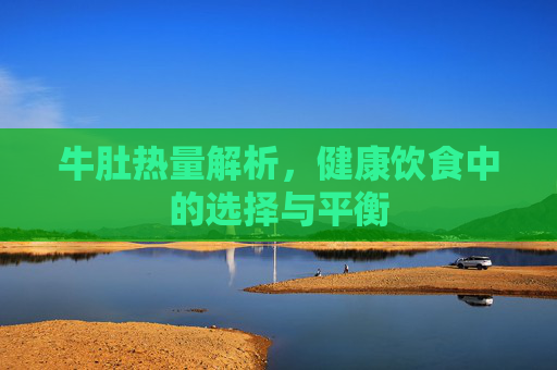 牛肚热量解析，健康饮食中的选择与平衡