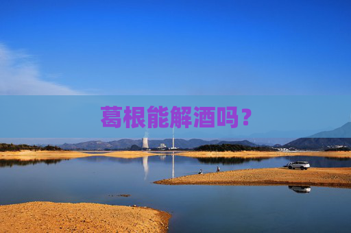 葛根能解酒吗？
