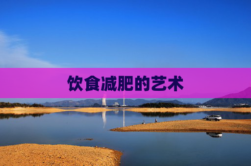 饮食减肥的艺术