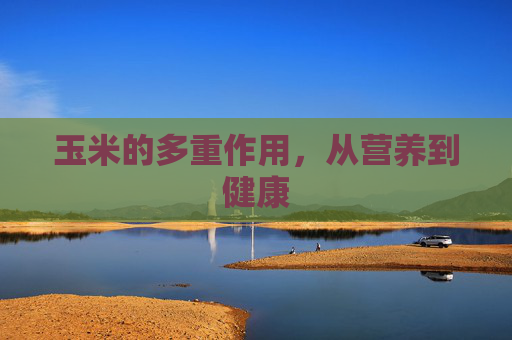 玉米的多重作用，从营养到健康