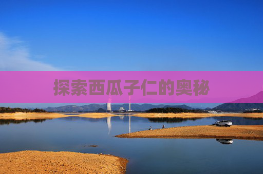 探索西瓜子仁的奥秘