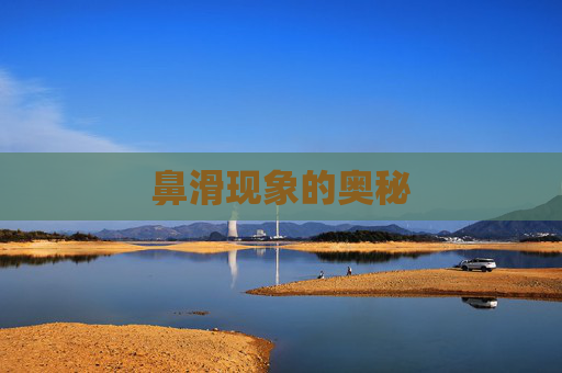 鼻滑现象的奥秘