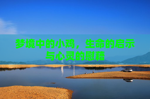 梦境中的小鸡，生命的启示与心灵的慰藉