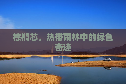 棕榈芯，热带雨林中的绿色奇迹