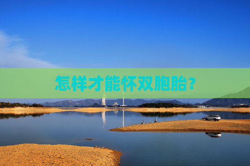 怎样才能怀双胞胎？