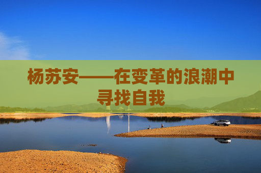 杨苏安——在变革的浪潮中寻找自我