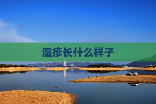 湿疹长什么样子