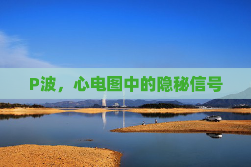 P波,心电图中的隐秘信号 P波,心电图中的隐秘信号