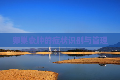 卵巢囊肿的症状识别与管理