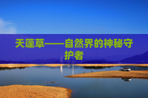天蓬草——自然界的神秘守护者 天蓬草——自然界的神秘守护者