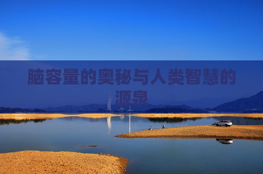 脑容量的奥秘与人类智慧的源泉 脑容量的奥秘与人类智慧的源泉