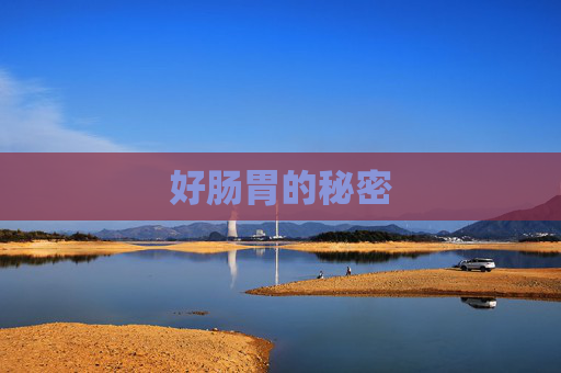 好肠胃的秘密 好肠胃的秘密