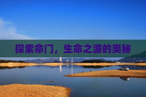 探索命门，生命之源的奥秘