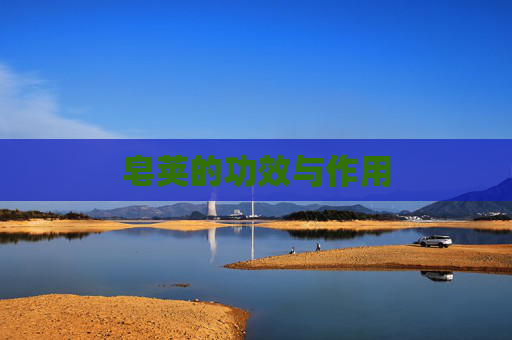 皂荚的功效与作用
