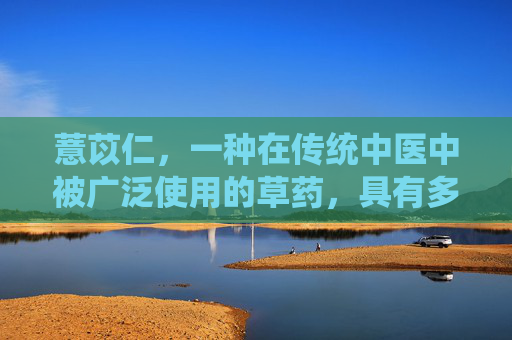 薏苡仁，一种在传统中医中被广泛使用的草药，具有多种健康益处。它不仅是一种美味的食材，更是一种珍贵的药材，被用于治疗多种疾病和促进健康。接下来，我们将探讨薏苡仁的功效及其在现代医学中的应用