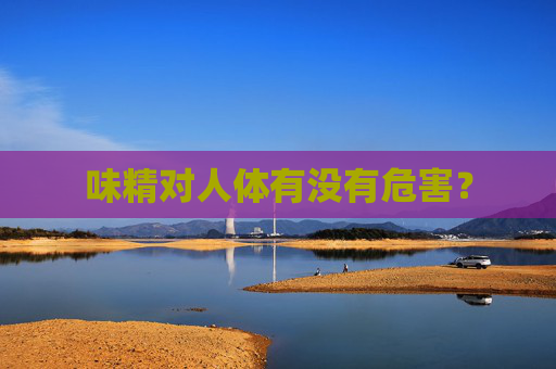 味精对人体有没有危害？