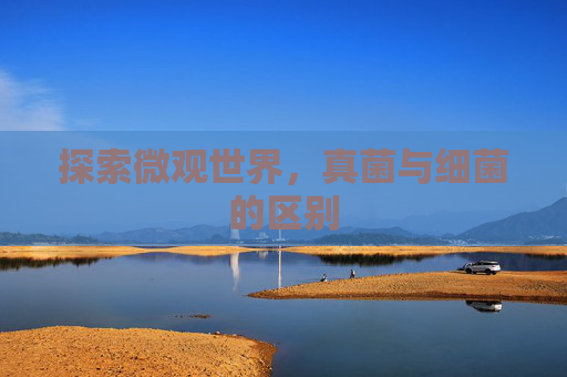 探索微观世界，真菌与细菌的区别