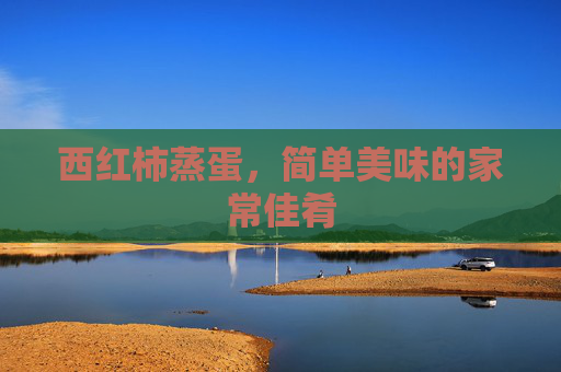 西红柿蒸蛋,简单美味的家常佳肴 西红柿蒸蛋,简单美味的家常佳肴