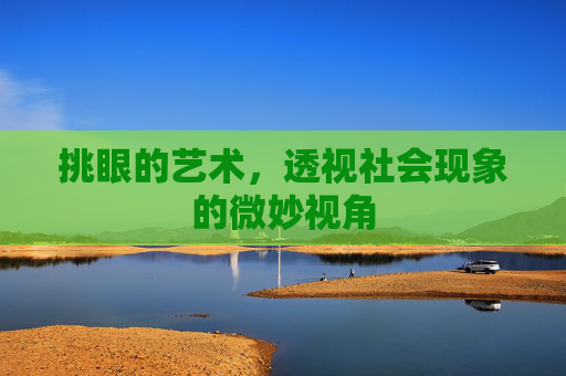 挑眼的艺术，透视社会现象的微妙视角