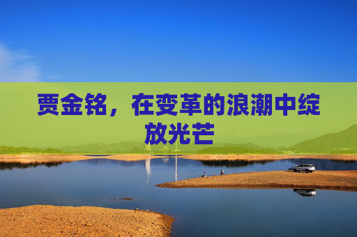 贾金铭，在变革的浪潮中绽放光芒