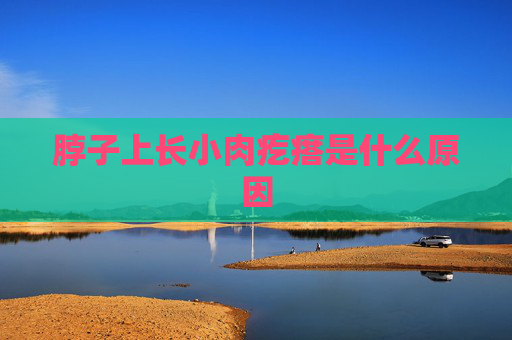 脖子上长小肉疙瘩是什么原因