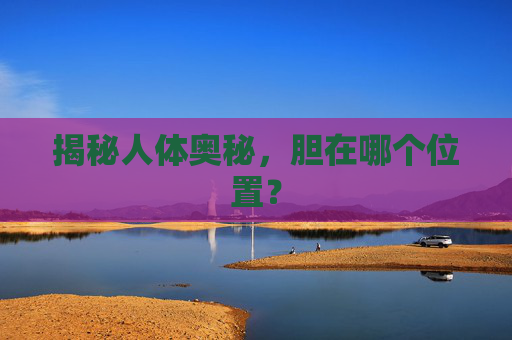 揭秘人体奥秘,胆在哪个位置? 揭秘人体奥秘,胆在哪个位置?