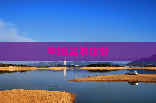 生地黄的功效