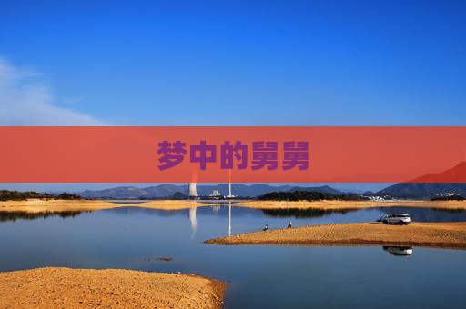梦中的舅舅 梦中的舅舅